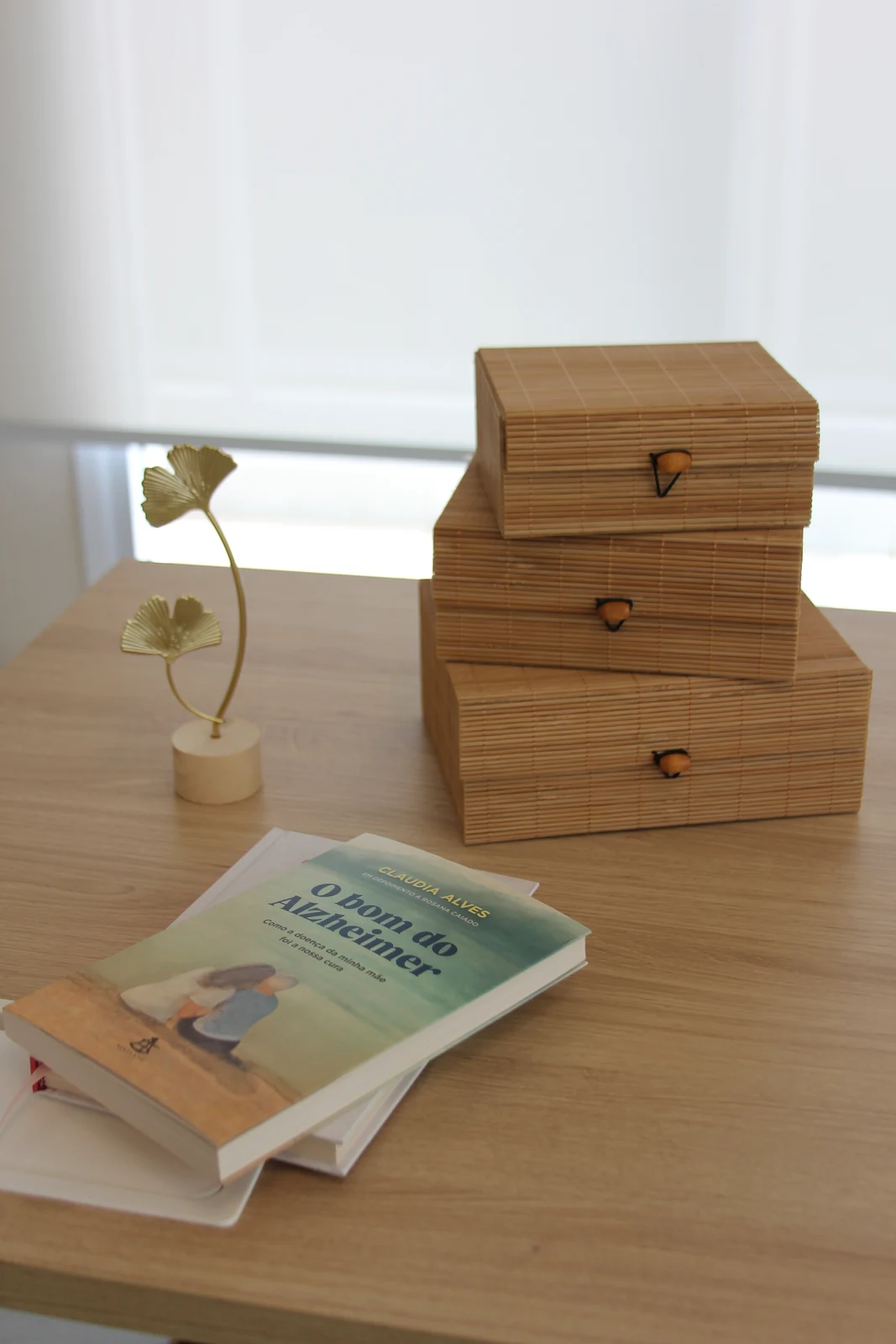 Detalhe do espaço de atendimento, com livros e decoração sobre a mesa